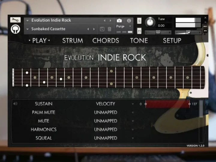 Orange Tree Samples Evolution Indie Rock