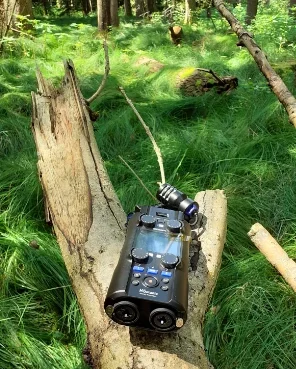 Zoom H5 Studio Test Field Recording