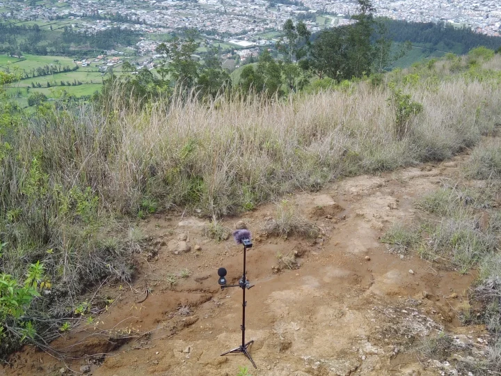 Blog: Field Recording in Ecuador – Woche 2
