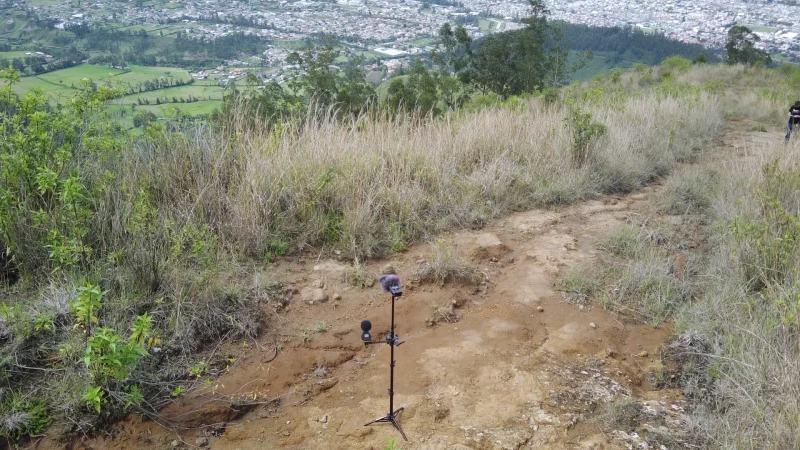 Blog: Field Recording in Ecuador – Woche 2