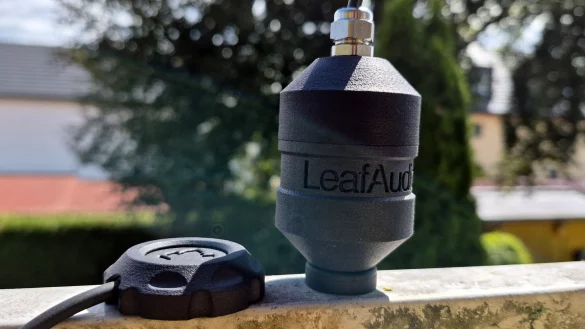 Leaf Audio Geophon und Kontaktmikrofon für einen Test auf einem Metallgeländer